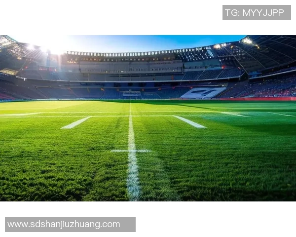 外号哥斯拉的足球明星如何在绿茵场上展现强大力量与魅力